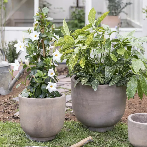 Ivyline Cartmel Mocha Planter Ø21cm - image 1