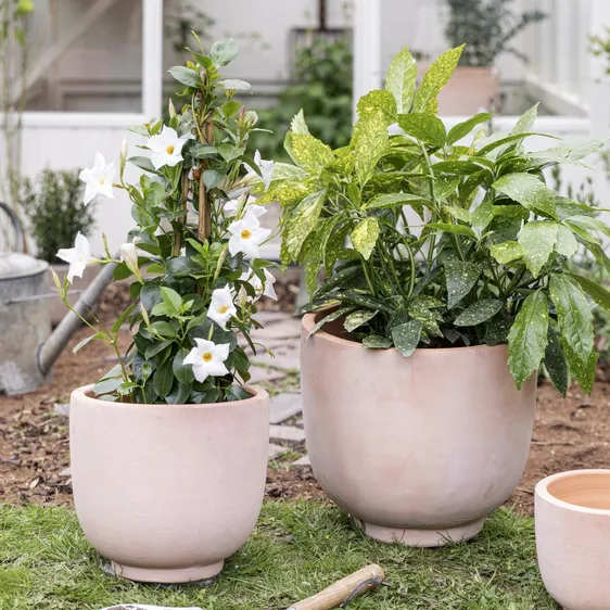 Ivyline Cartmel Terracotta Planter Ø21cm - image 1