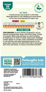 Cat Grass Avena Sativa - image 2