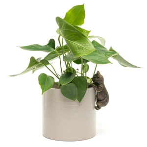 Cat Pot Buddy - image 2