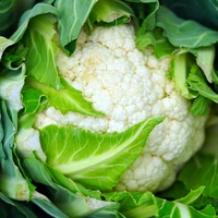 Cauliflower
