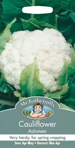 Cauliflower Aalsmeer - image 1