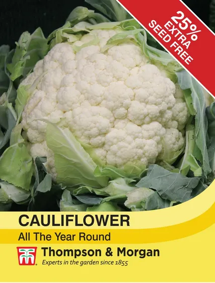 Cauliflower All The Year Round - image 1