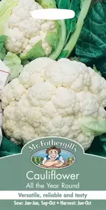 Cauliflower All The Year Round - image 1