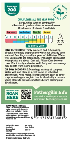 Cauliflower All The Year Round - image 2