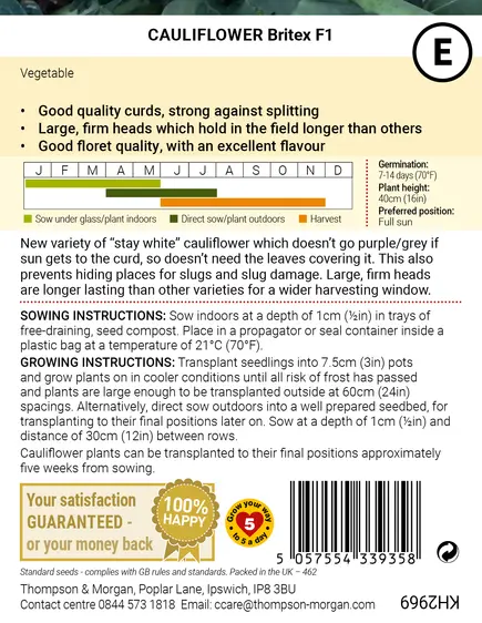 Cauliflower Britex F1 Seeds - image 2