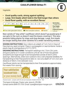 Cauliflower Britex F1 Seeds - image 2