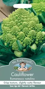 Cauliflower Romanesco Natalino - image 1