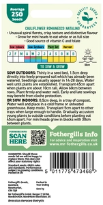 Cauliflower Romanesco Natalino - image 2