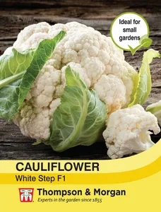 Cauliflower White Step F1 - image 1