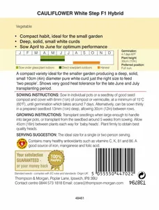 Cauliflower White Step F1 - image 2