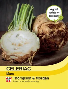 Celeriac Mars - image 1