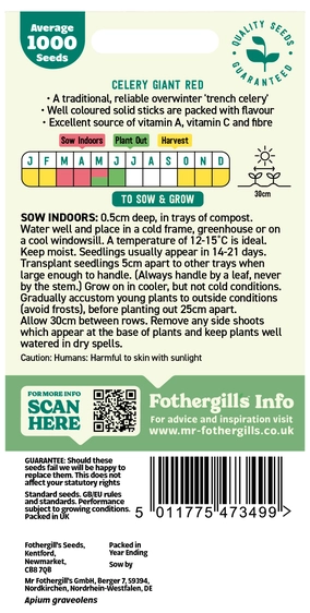 Celery Giant Red - image 2