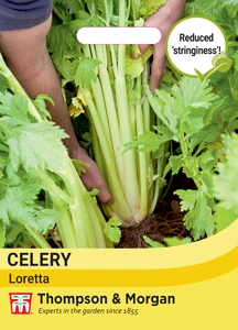 Celery Loretta - image 1