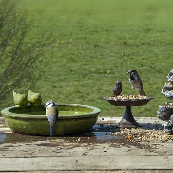 Ceramic Bird Bath - Green - image 1