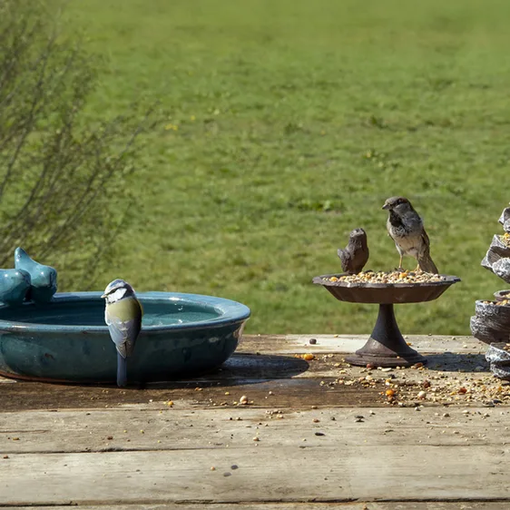 Ceramic Bird Bath - Petrol Blue - image 1