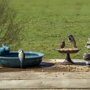 Ceramic Bird Bath - Petrol Blue - image 1