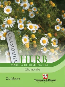 Chamomile - image 1