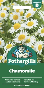 Chamomile - image 1