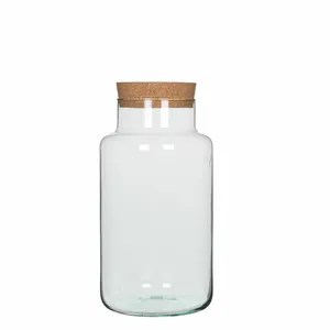 Chela Terrarium Jar - Large - image 1