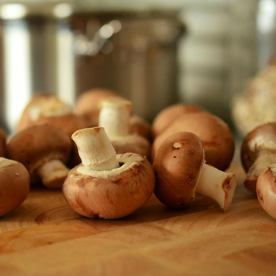 Chestnut Mushroom Growing Kit
