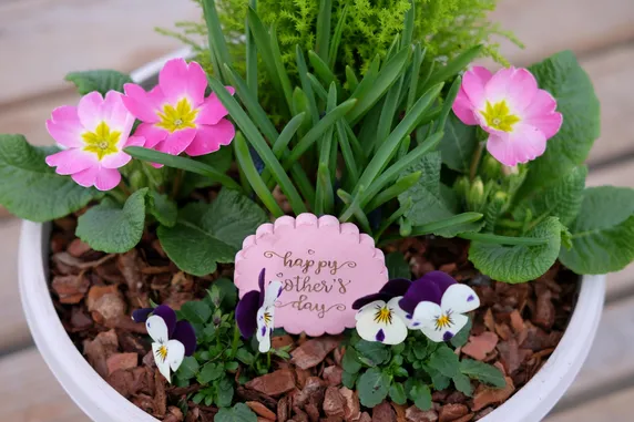 Children's Mother's Day Planter Workshop