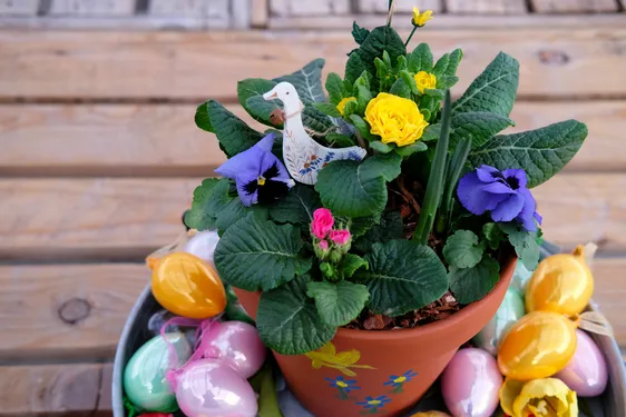 Children's Spring Planter Workshop