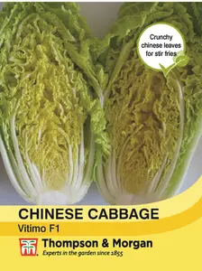 Chinese Cabbage Vitimo - image 1