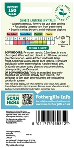 Chinese Lanterns Physalis alkekengi Seeds - image 2