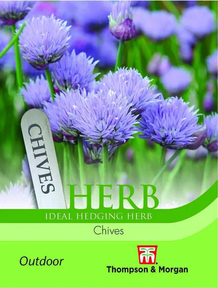 Chives - image 1