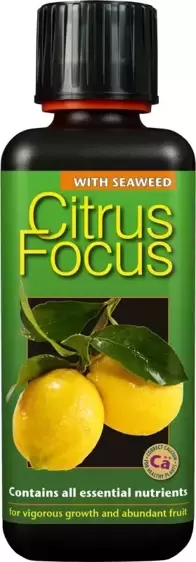 Citrus Focus 300ml - image 1