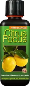 Citrus Focus 300ml