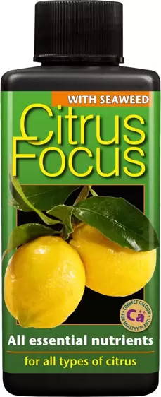 Citrus Focus 100ml - image 1