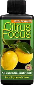 Citrus Focus 100ml