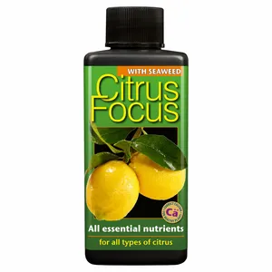 Citrus Focus Plant Food 100ml