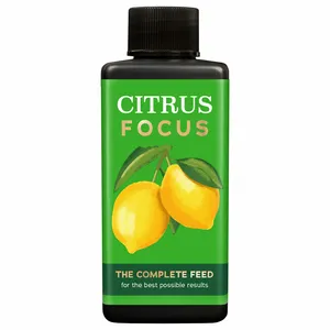 Citrus Focus Plant Food