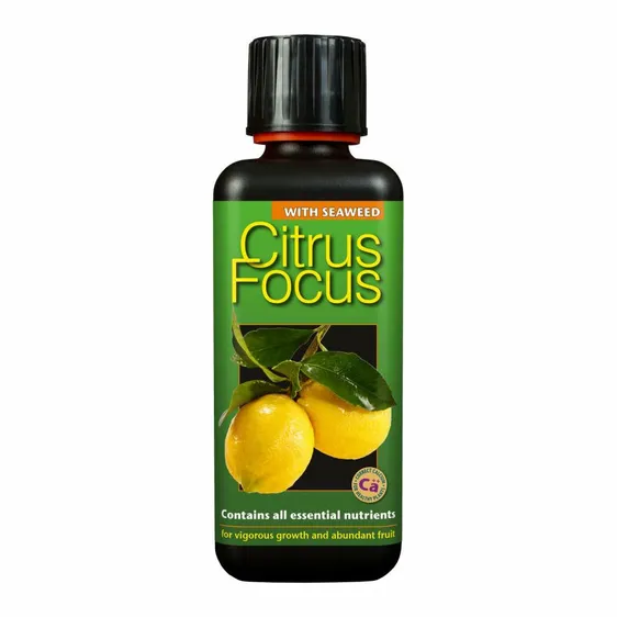Citrus Focus Plant Food 300ml