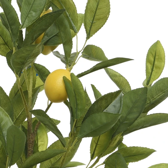 Citrus limonia Artificial Tree - 60cm - image 1