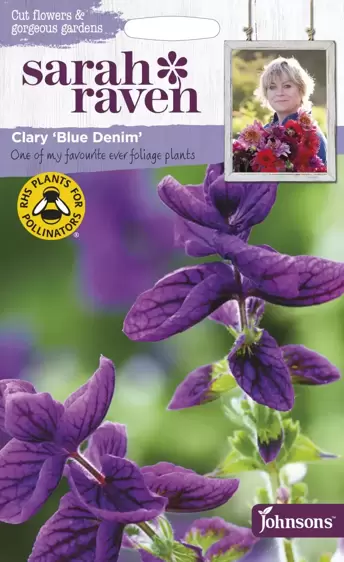 Clary Blue Denim - image 1