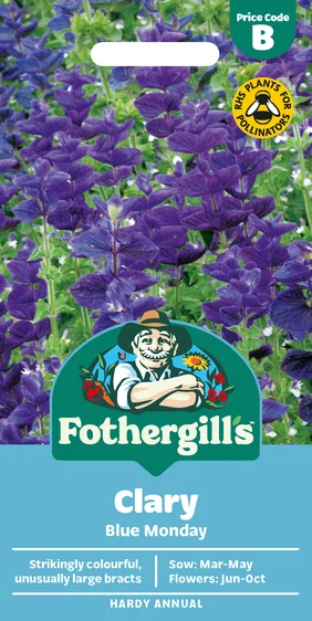 Clary Blue Monday - image 1