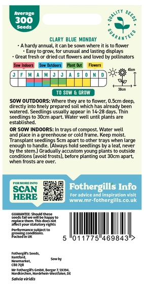 Clary Blue Monday - image 2