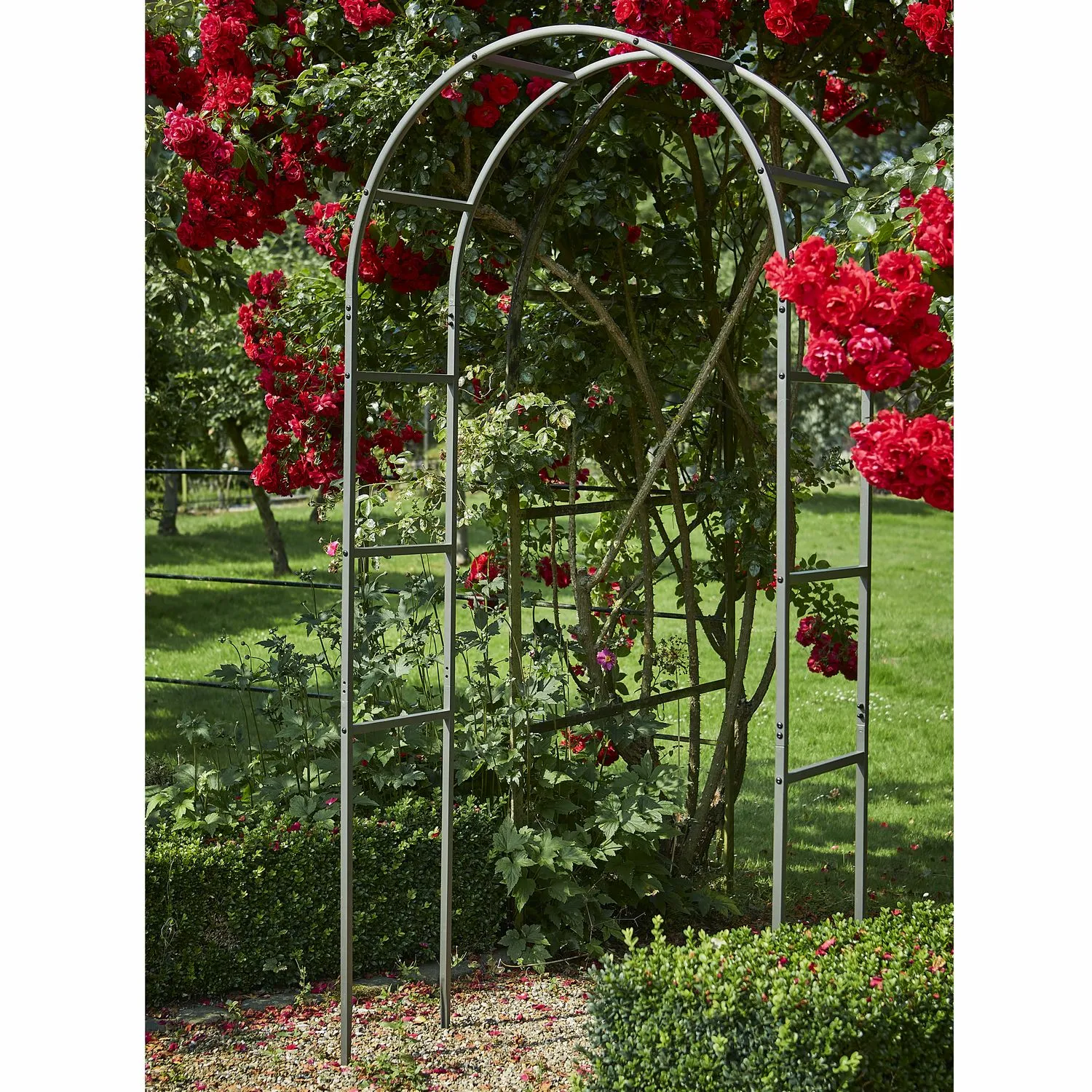 Classic Garden Arch - Cowell's Garden Centre | Woolsington