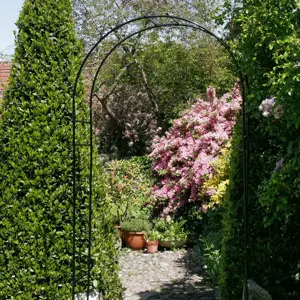 Classic Round Arch - image 2