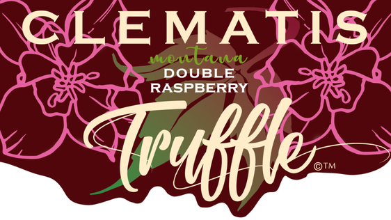 Picture Credit - Genesis Plant Marketing