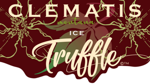 Picture Credit - Genesis Plant Marketing