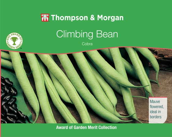 Climbing Bean Cobra - image 1