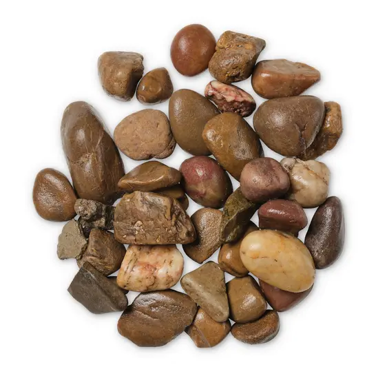 Coastal Shore Natural Stone Pebbles - image 1