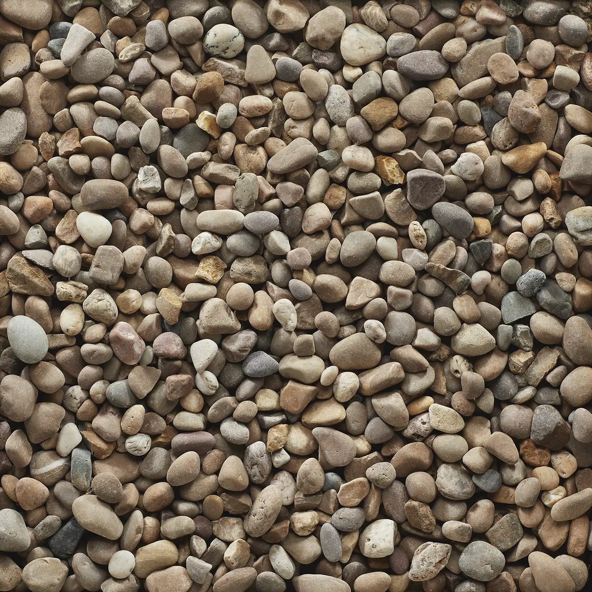 Coastal Shore Stone Pebbles Bulk Bag Cowell's Garden Centre Woolsington