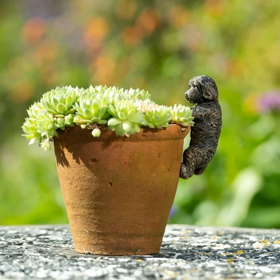 Cockapoo Pot Buddy - image 3