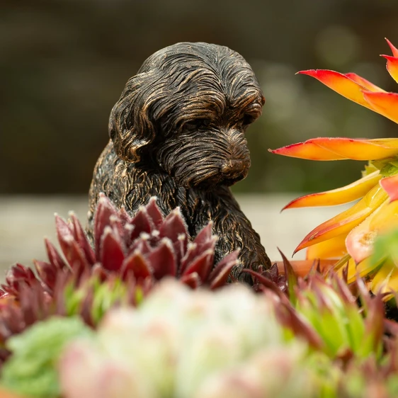 Cockapoo Pot Buddy - image 1